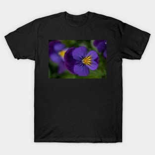 Pansy T-Shirt